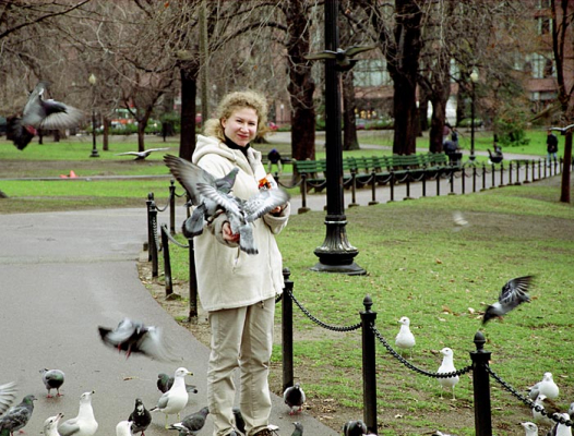 Раздача халявы. Boston Common Park.