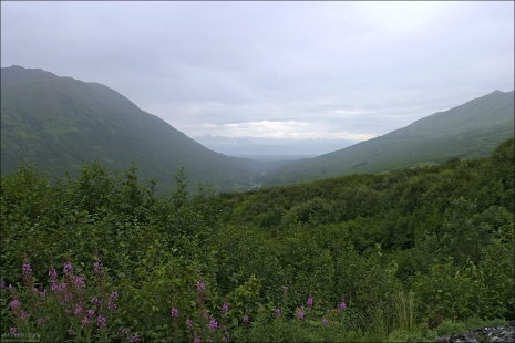 Перевал Hatcher Pass в горах Talkeetna Mountains.