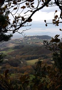 Вид на деревушку на холме сквозь дубовые ветки.