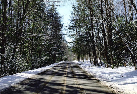 Зимняя дорога.