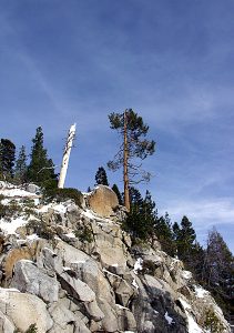 Пейзаж вдоль дороги Generals highway.