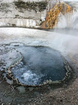 Китайский родник (Chinese spring). Upper Geyser basin.