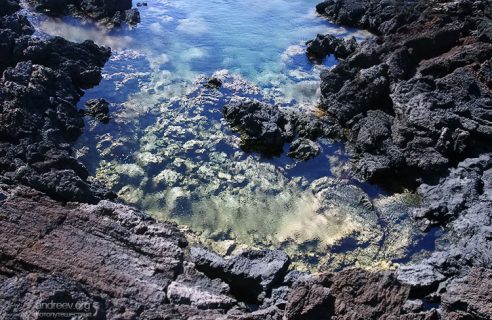 Вход в Аквариум. Залив La Perouse.