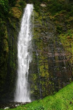 122-х метровый водопад Waimoku в конце тропы Pipiwai trail.