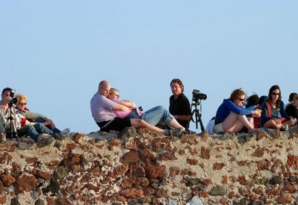 Парочки и троечки в романтической обстановке на закате.