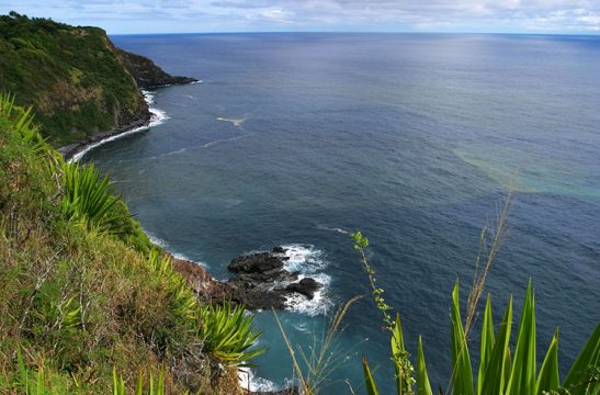 Береговая линия Kipahulu.