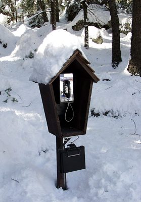 Следы цивилизации в гуще леса.