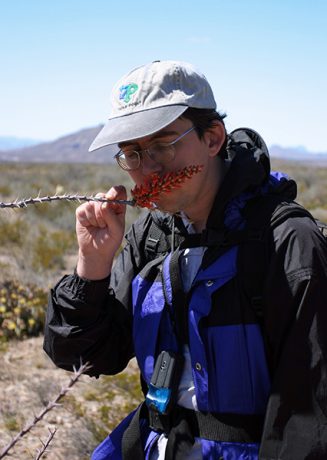 Илья принюхивается к колючему окотилло.