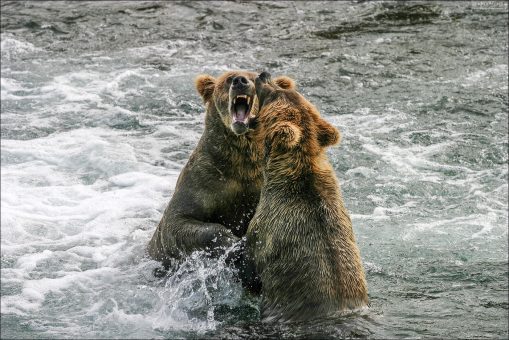 Медвежья пасть.