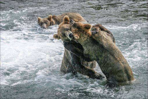 Двое дерутся - третий не мешай.
