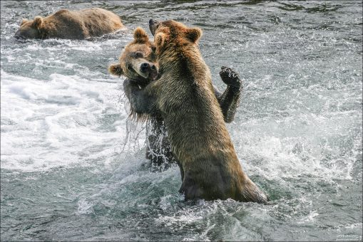 Сначала подрались, потом пошептались.