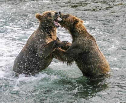 Давно не виделись, братан!