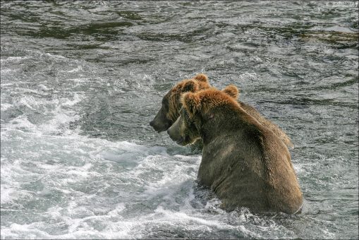 Где же третий?