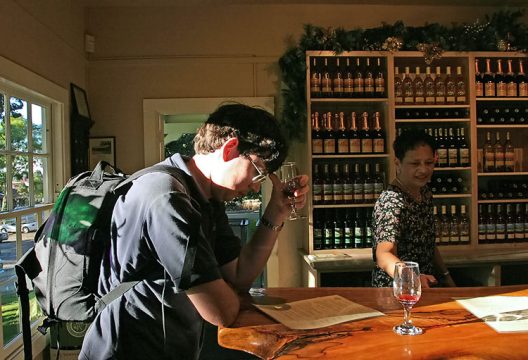 Дегустация местных вин в винарне Тедеши.