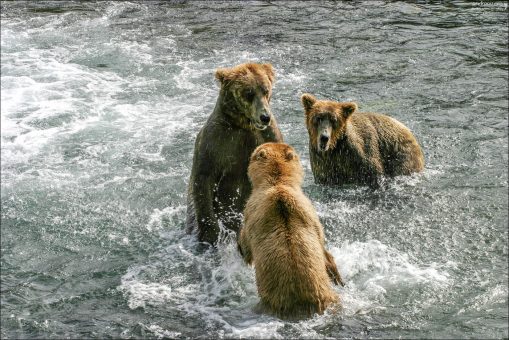 Сообразим на троих?