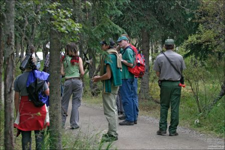Получасовая "медвежья пробка" (ждем, когда проснется медведь, и уйдет с тропы).