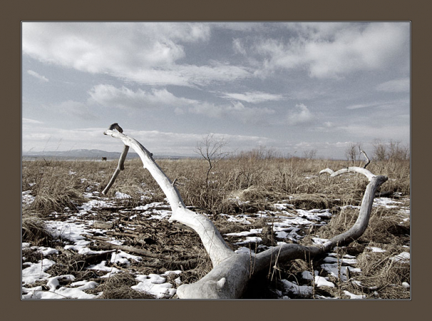 Берег озера Шамплейн. Первые попытки художественной фотографии :)