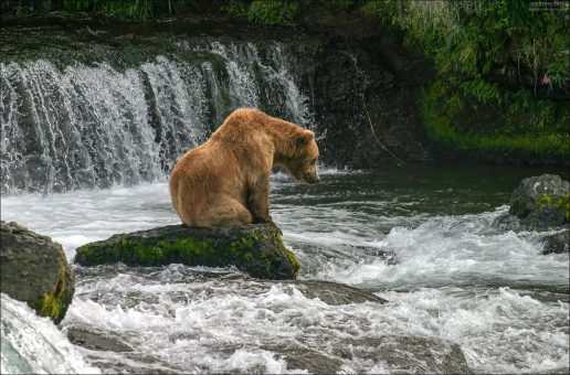 И ждал он так тридцать лет и три года...