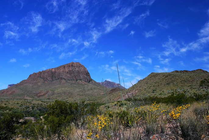 На пути к Сосновому каньону.