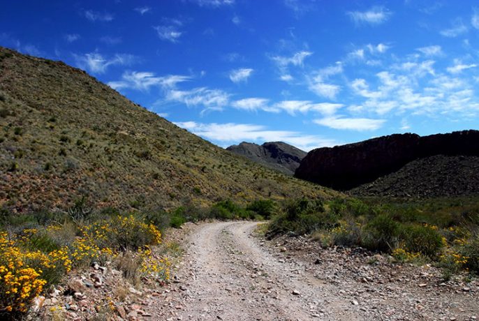 Перьевые облака над дорогой к Сосновому каньону.