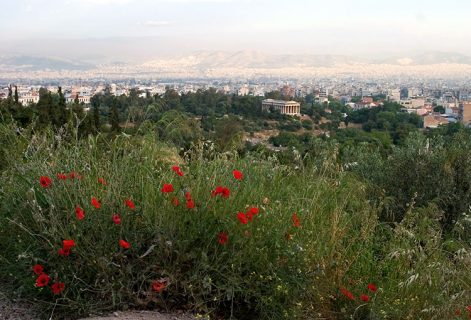 Весенние маки и вид на храм Гефеста, покровителя ремесел.
