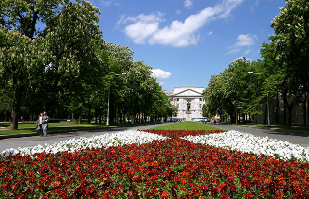 Аллея, обрамленная цветущими каштанами. Вдали виднеется фасад Инженерного замка.