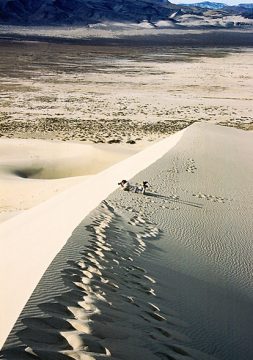 На песчаном гребне. Дюна Eureka.