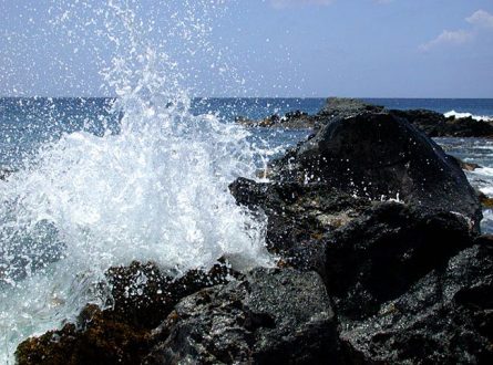 Каменный пляж Kapa'a - отличное место увидеть огромные стаи рыб-дудочек.