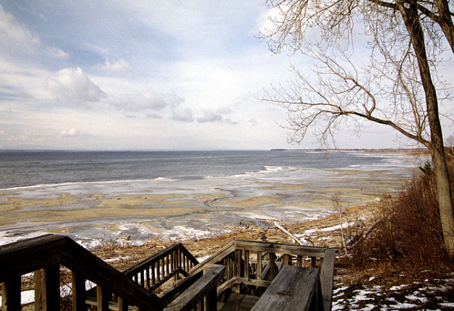 Деревянные ступеньки, ведущие на берег озера.