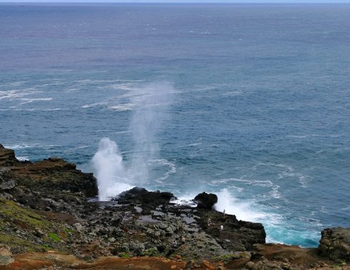 Океанские просторы и бешеный прибой.
