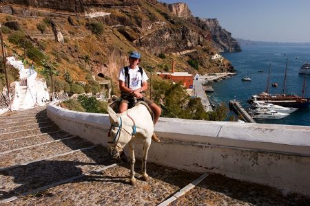 Капитан белого ослика.