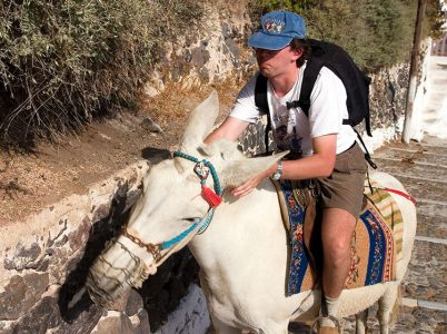 "А ну пшёл, упрямое животное!"
