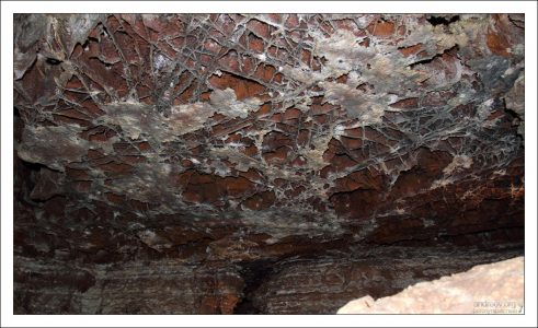 Разветвленная сеть boxwork на потолке пещеры.