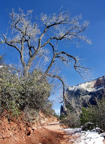 Тропа по краю утеса к "Изумрудным прудам".