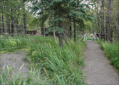 Ограда под током вокруг кемпинга.