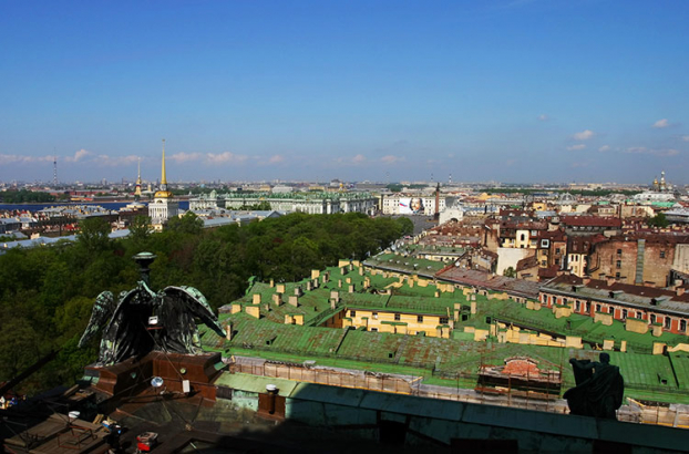 Зеленые и коричневые крыши Питера.