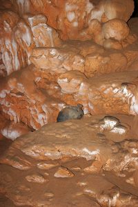 Высший уровень пещеры ATM (сухой). Хорошо сохранились предметы быта древних индейцев майя.