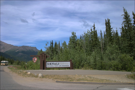 Добро пожаловать в "Денали"!