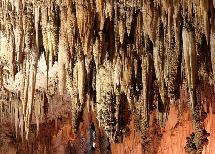 В гуще сталактитов. Carlsbad Caverns National Park.