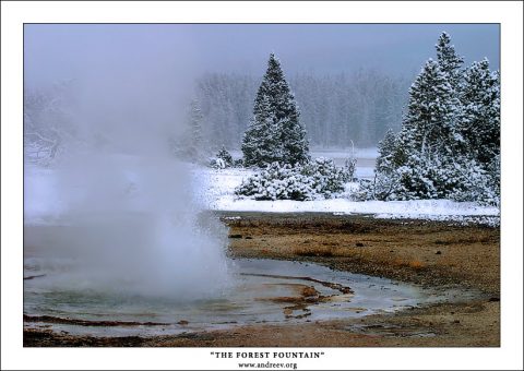 "Лесной фонтан" Twig Geyser в нижней гейзеровой долине. Первый октябрьский снег за ночь укутал весь парк «Йеллоустоун». К полудню от него не останется и следа, но ранним утром снег удивительным образом меняет все вокруг, и придает объем пейзажу. Только гейзеры ему не подвластны.