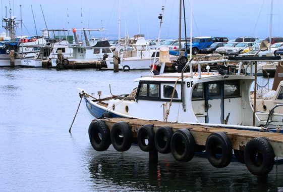 Гавань и парковка в Maalaea.