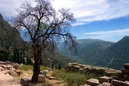 Склоны Парнаса и руины древних Дельф.