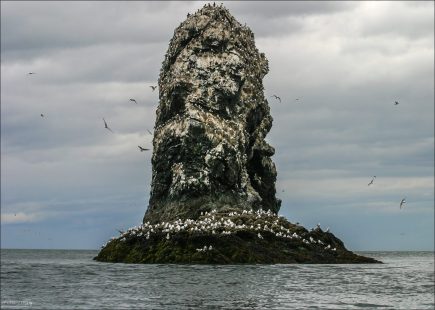 Одиноко возвышающаяся скала.