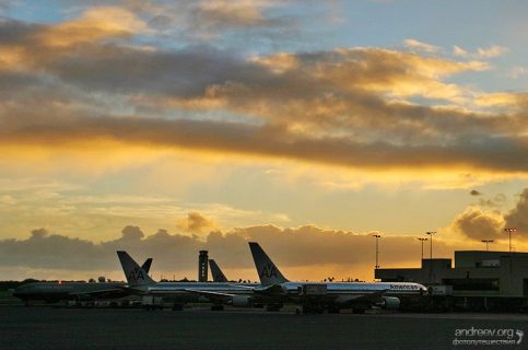 Перед отправкой на континент.