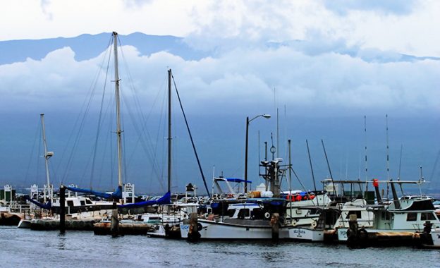 Яхты и рыболовные суда в гавани Maalaea.