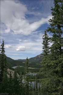 Тропа к озеру Horseshoe Lake.