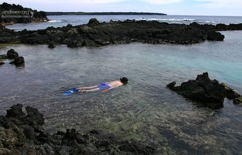 Снорклинг в Аквариуме.