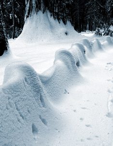 Начало тропы "Big trees trail".