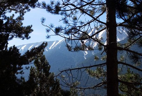 Снег на вершинах Олимпа.