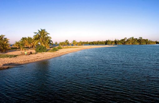 Песчаная коса с пальмами. Деревня Плаценсия.